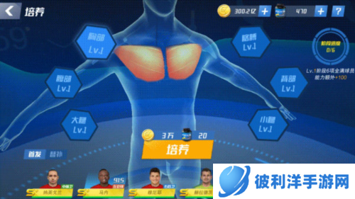 最佳11人球星培养功能介绍5