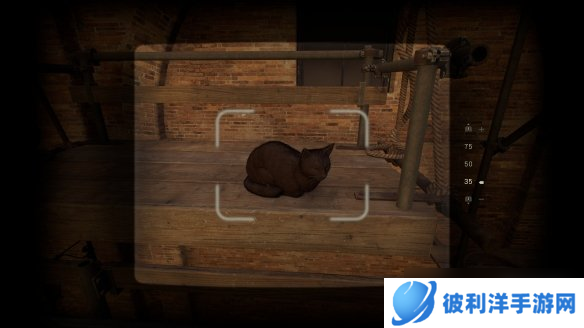 《古老之圈》是2024最佳优化？未解之谜—消失的灯泡