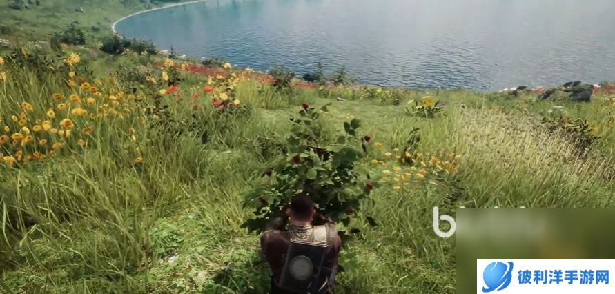 昆法尔加速器用哪个好 稳定好用的TheQuinfal昆法尔加速器推荐