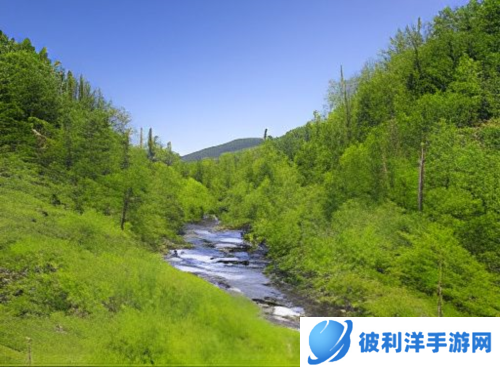 迷失蔚蓝安卓版如何找到干净水源