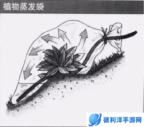 迷失蔚蓝安卓版如何找到干净水源4