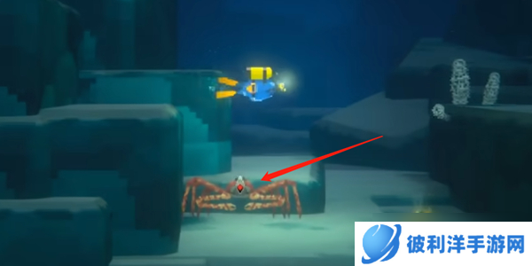 潜水员戴夫甘氏巨螯蟹捕捉指南-甘氏巨螯蟹捕捉方法是什么