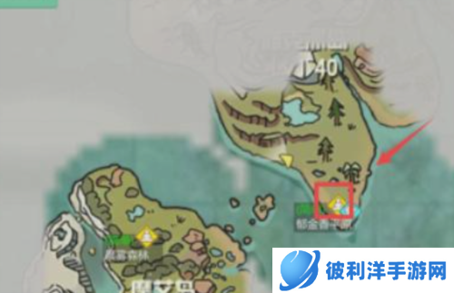 创造与魔法华为版胡萝卜在哪里