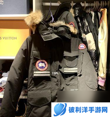 鹅鸭杀刀到加拿大鹅发言攻略（游戏攻略、技巧分享和心得体会）