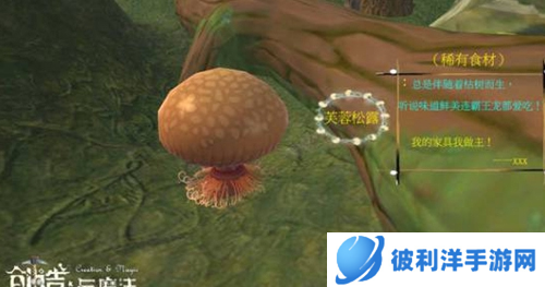 创造与魔法正式服游戏特色