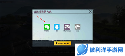 和平精英国际版4
