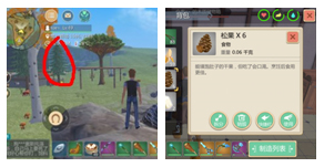 创造与魔法树木种类大全及掉落物品攻略3