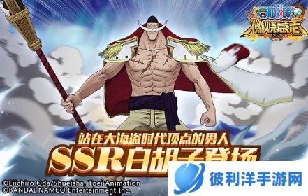 航海王燃烧意志小y手机版战力提升攻略