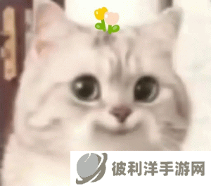 幻唐志：逍遥外传【宠物攻略篇】——碧波仙子打书攻略分享
