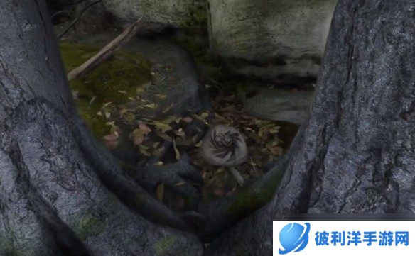 天国拯救2狮子纹章全位置-天国拯救2狮子纹章怎么获得