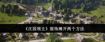 解锁双店秘籍：庄园领主服饰摊扩张攻略，双倍盈利新策略！