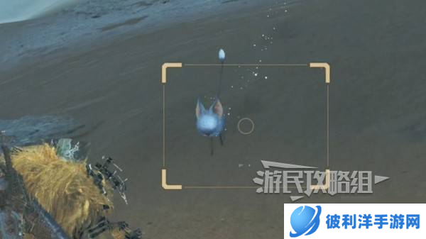 《怪物猎人荒野》稀有环境生物位置地图 沙野流星在哪